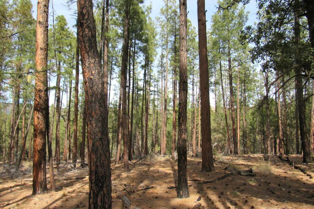 Forest Cabin 4 Cowboys Dream Payson ภายนอก รูปภาพ
