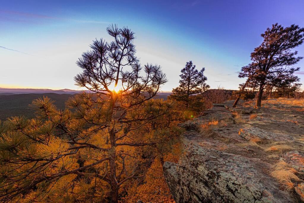 Forest Cabin 4 Cowboys Dream Payson ภายนอก รูปภาพ